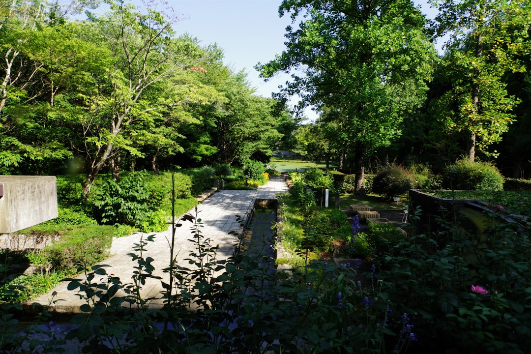 Winter Lawn Watering: The Expert Guide