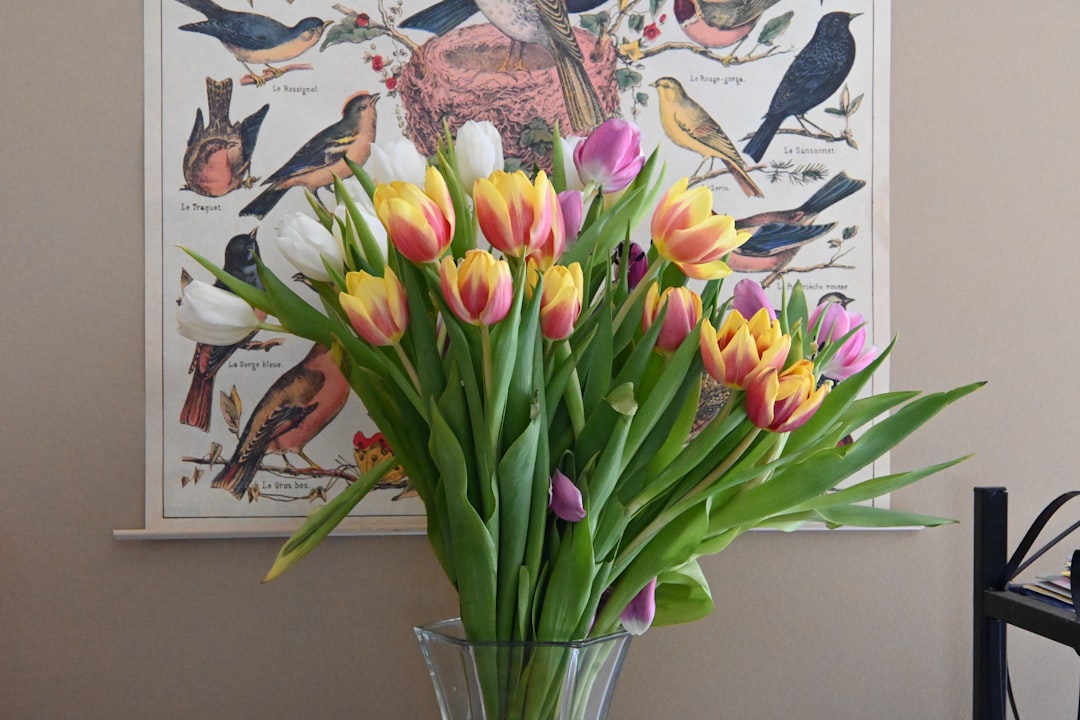 Unleash the Full Bloom: Summer Pruning for Your Yard