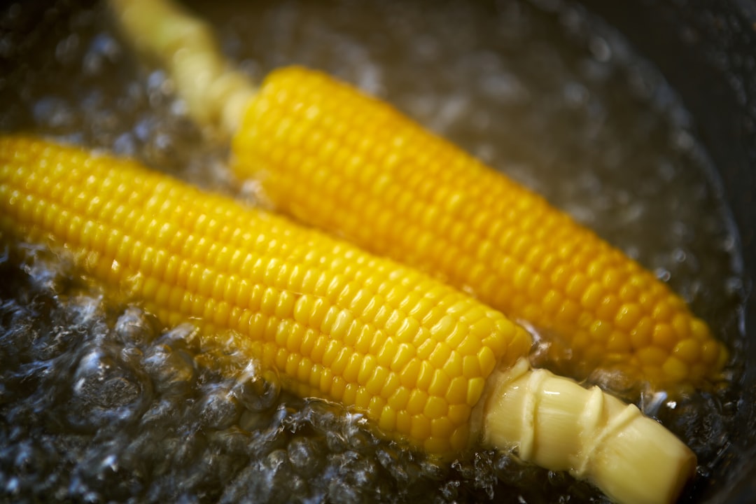 Reviving the Glory of Corn on the Cob: A Quick Guide Reviving the Glory of Corn on the Cob: A Quick Guide