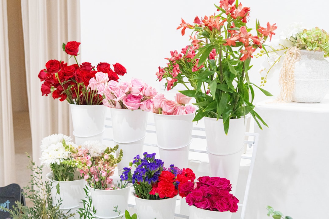 The Secret to Thriving Houseplants in Winter