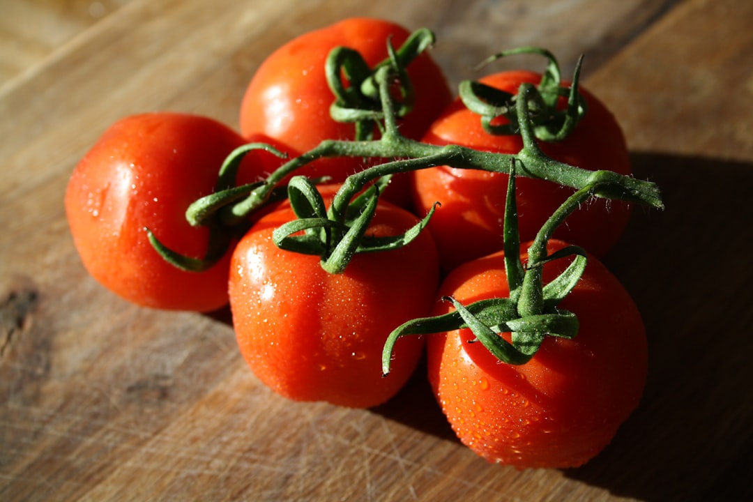 Cultivating a Flavorful Oasis: Potted Herbs Through the Seasons
