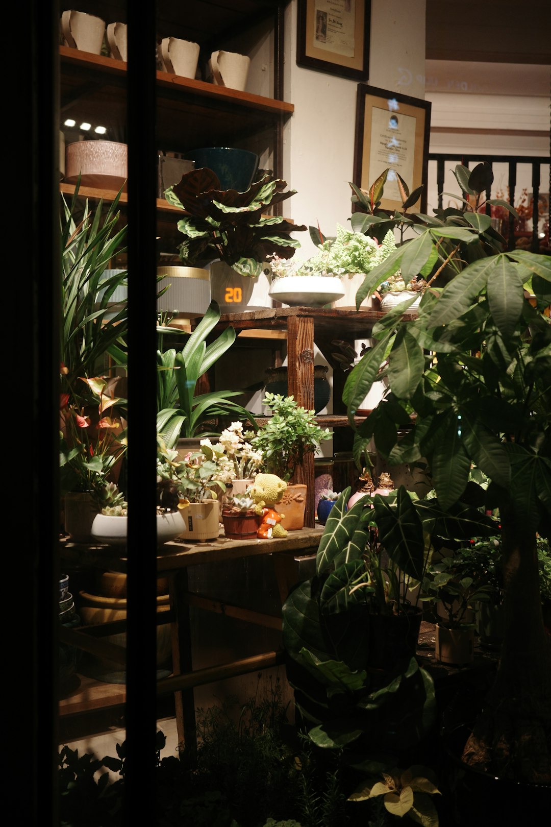 Unleashing Space in Small Gardens with Vertical Growth Plants