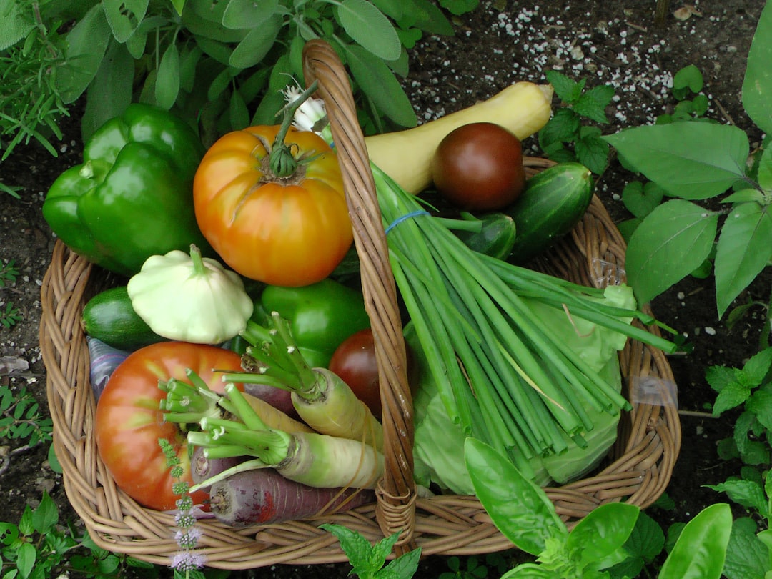The Secret to Perfect Vegetable Harvest
