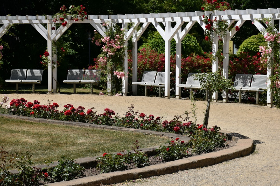 The Enchanting World of Pink in Gardens