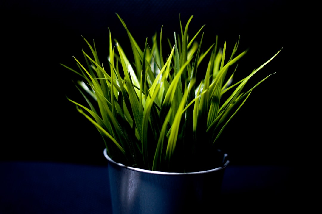 Transform Your Outdoor Space with Edible Landscaping