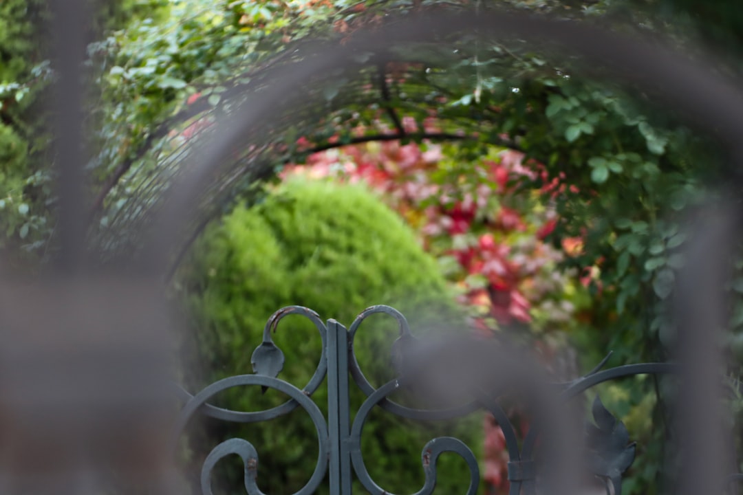 Crafting an Everlasting Outdoor Oasis