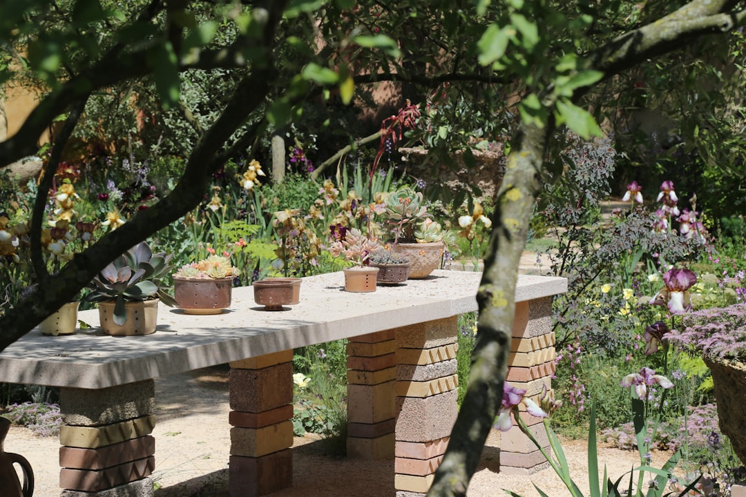 The Hidden Rules of Fruit Tree Planting