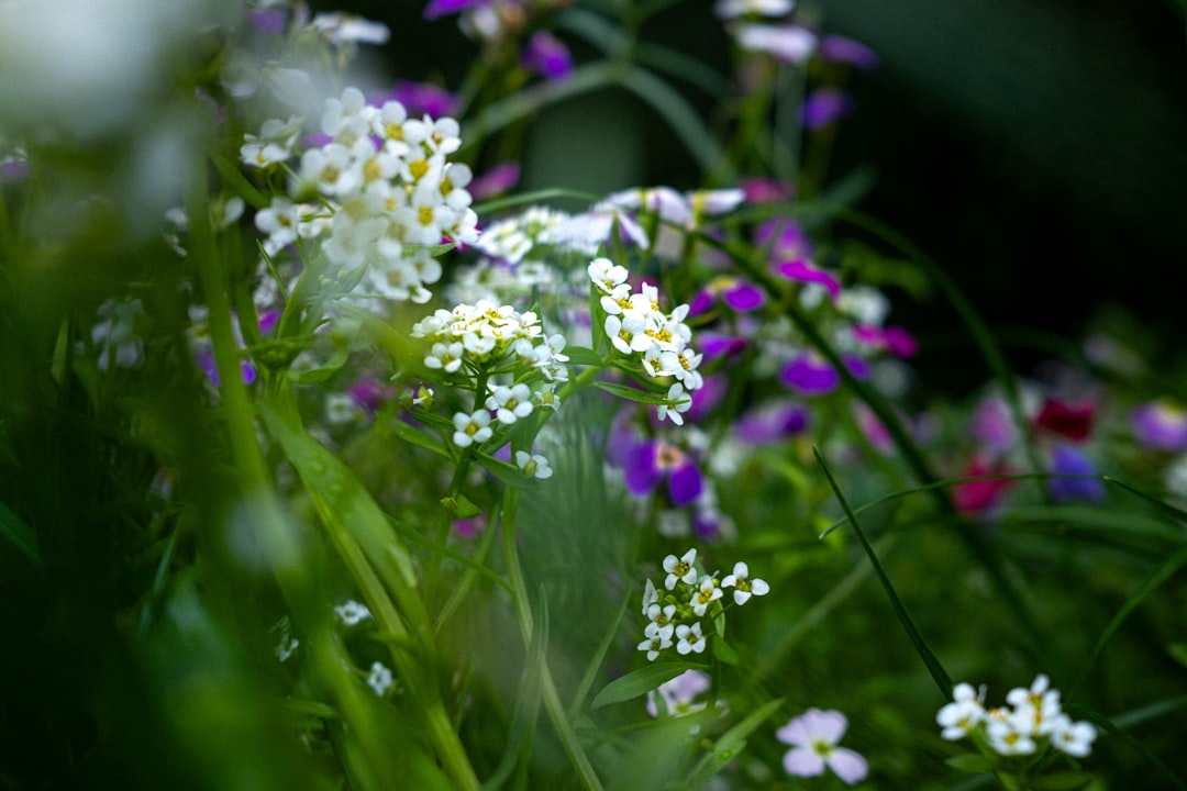 The Secret Ingredient for a Thriving Garden: Wood Ash