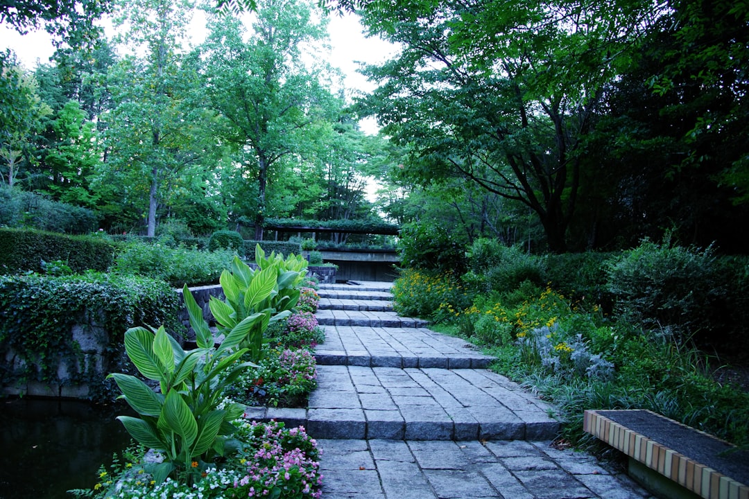 The Enchanting World of Perennial Flowers in Your Garden