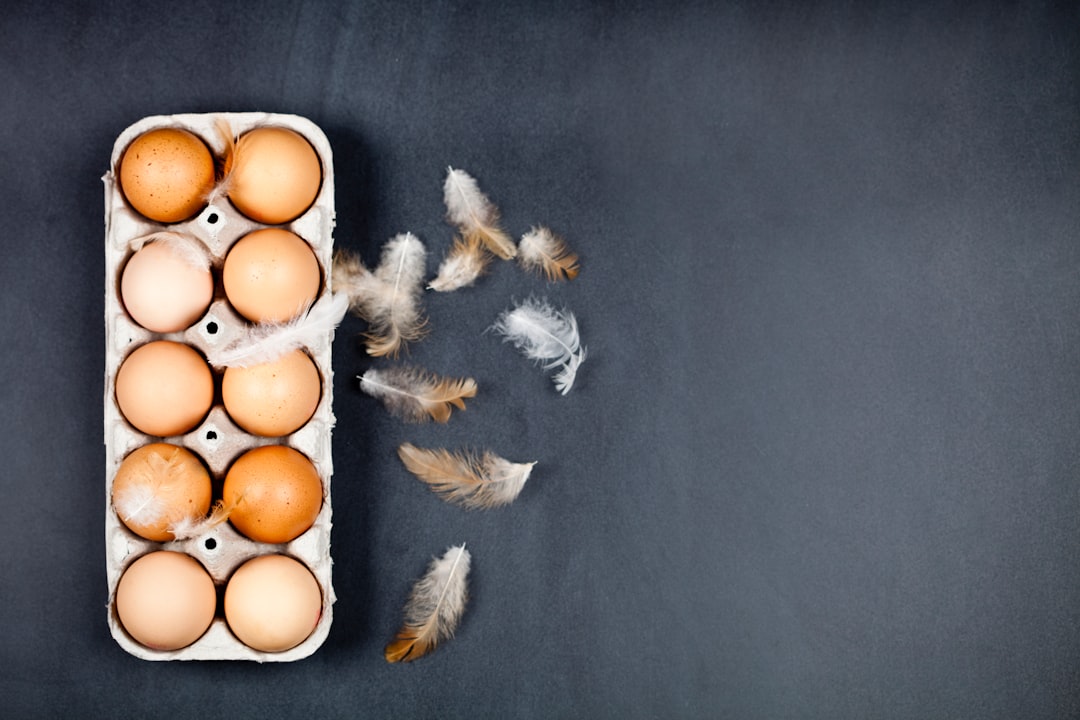 The Wondrous Weasley Twins' Hosting Extravaganza