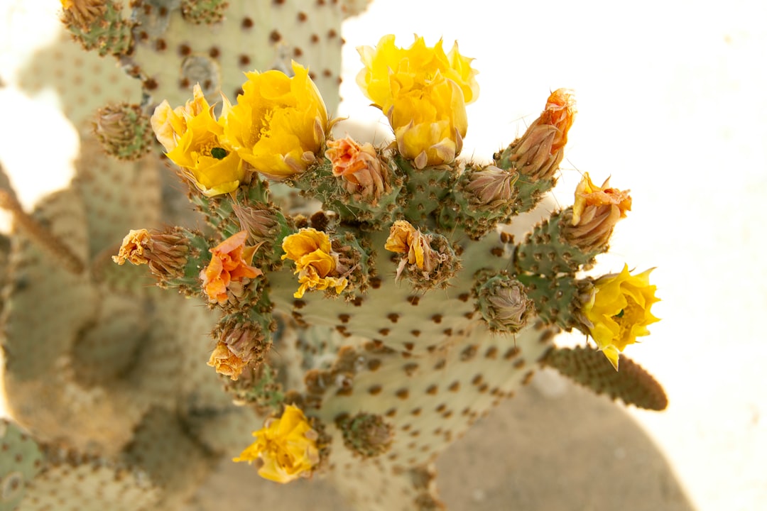 Transform Your Yard into an Eco - Haven This Fall