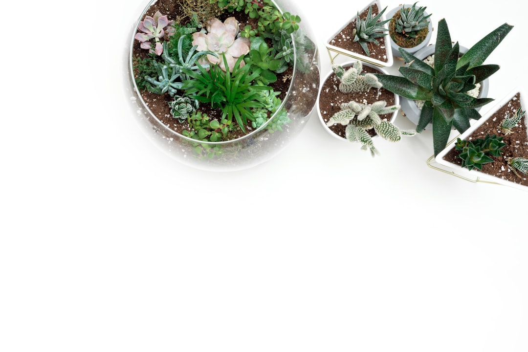 Transform Your Front Yard on a Budget with Brick Garden Borders