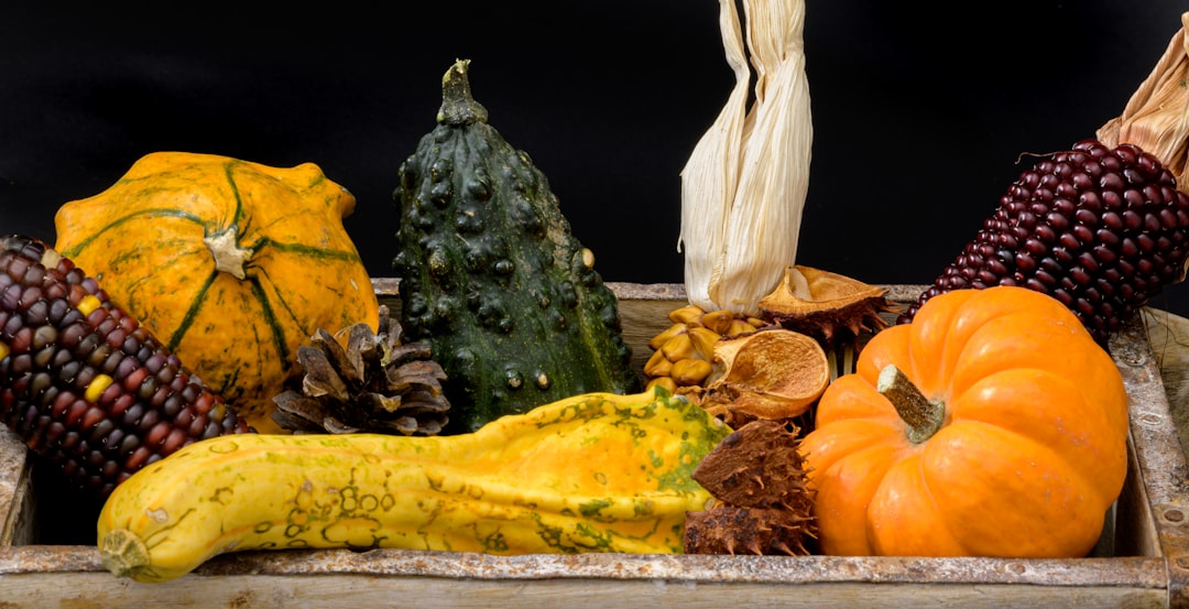 Safeguarding Your Drains: The Right Way to Dispose of Cooking Oil