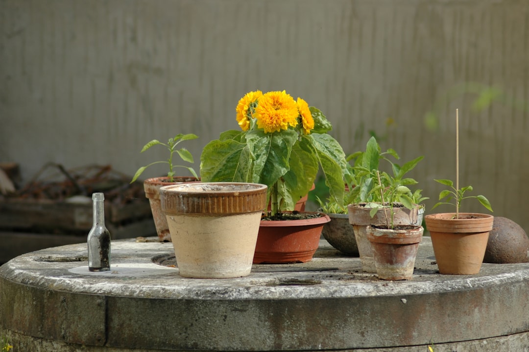 Fall Patio Makeover: Amazon Deals for Outdoor Bliss