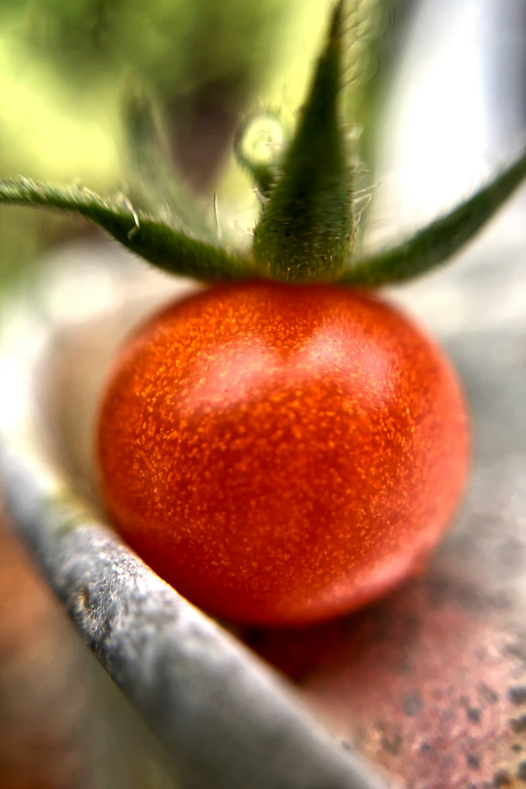 Secrets to a Thriving Spring Garden: End - of - Season Cleanup