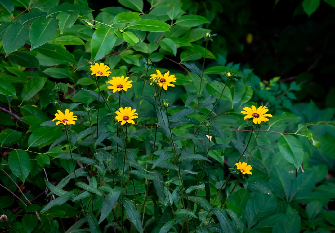 The Secret to Reviving Overwatered Clay Soil in Your Garden