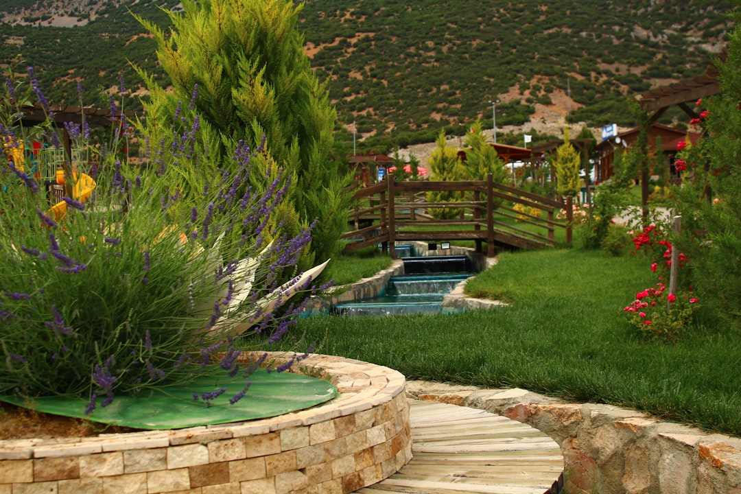 August Yard Care: A Regional Guide
