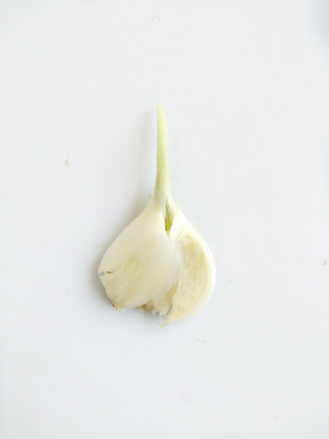 A Delightful Morning with Zucchini and Brie Casseroles