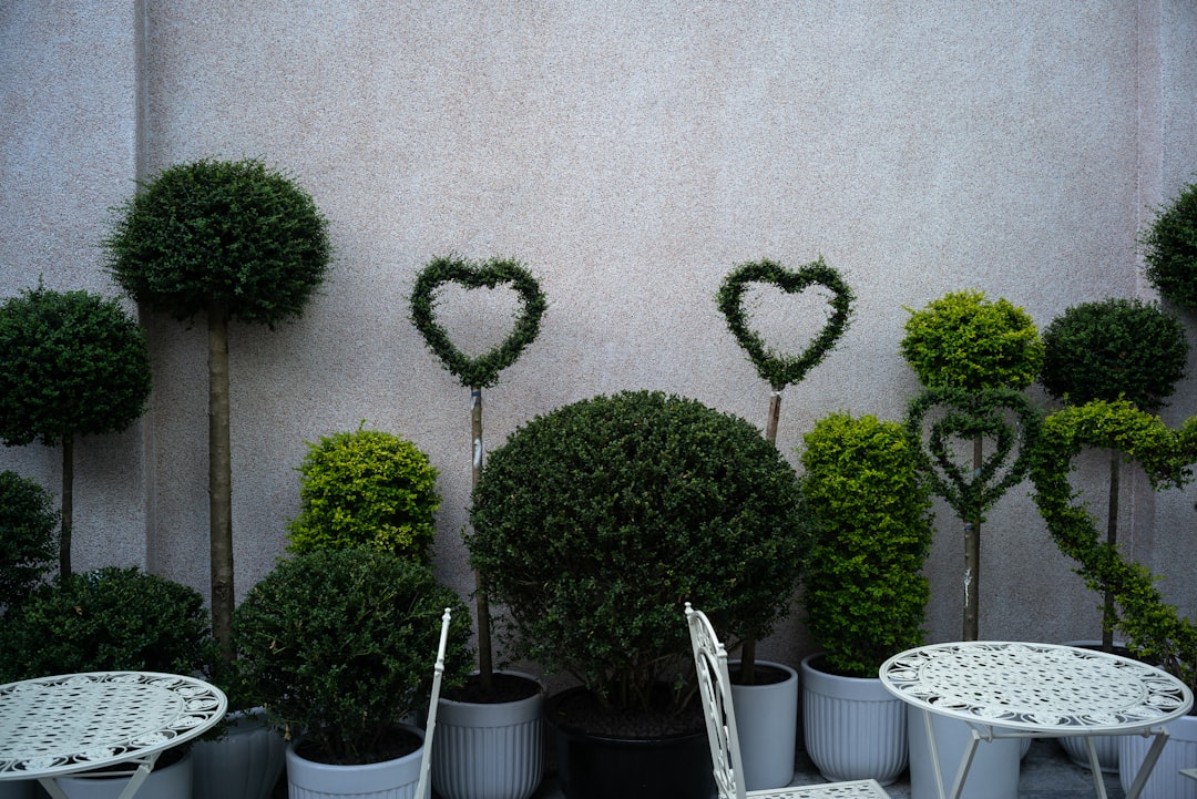 Transform Your Chilly Shade Spots with Resilient Plants