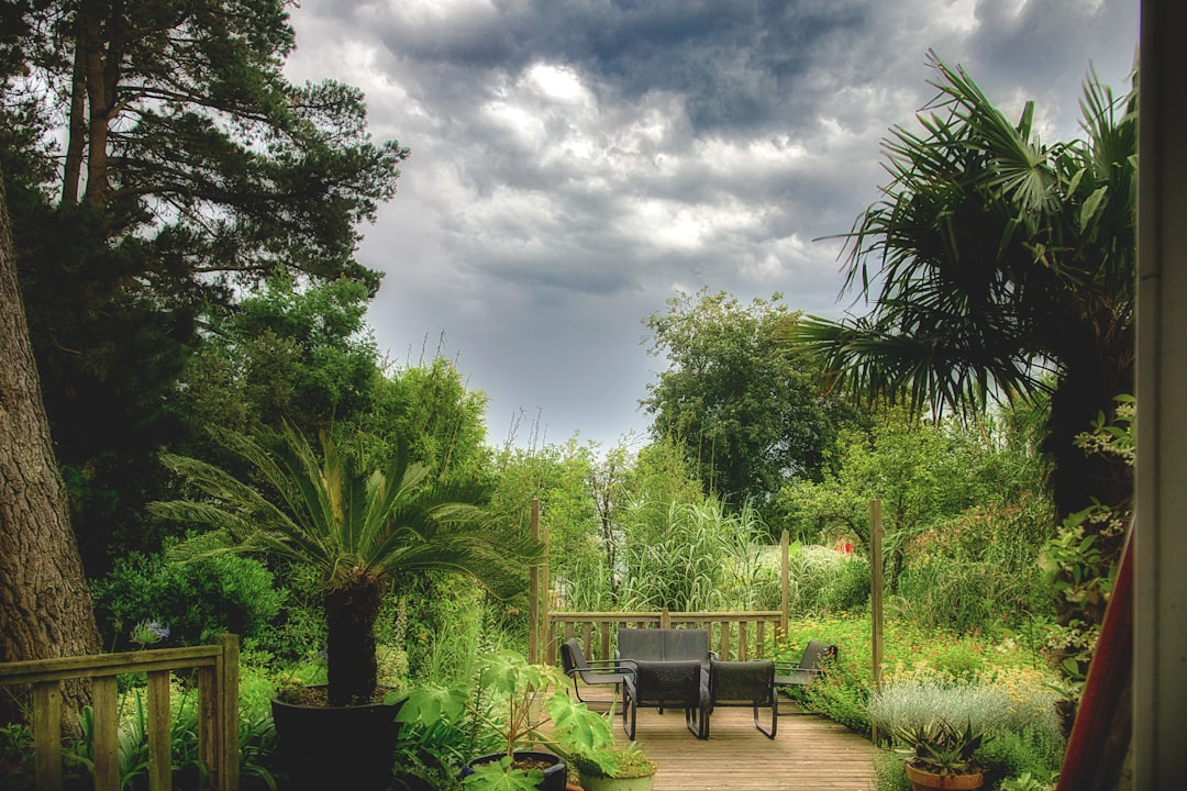 Unveiling the Secrets of a Thriving Organic Vegetable Garden