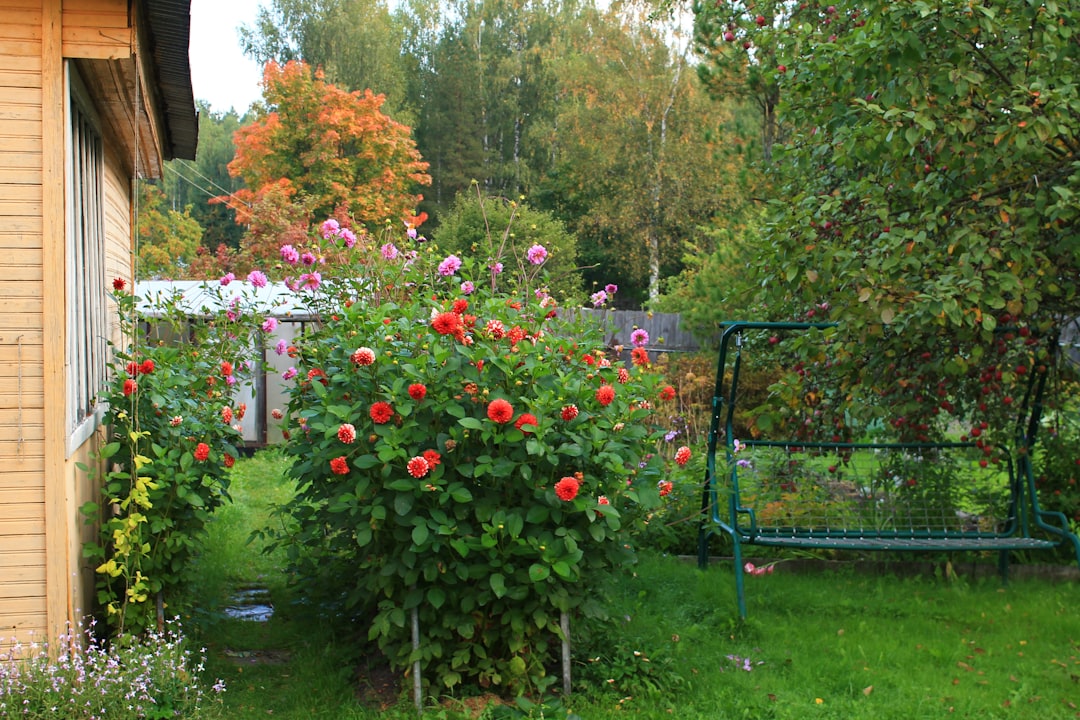 Crafting a Furry - Friendly Oasis: Your Dream Pet - Safe Garden
