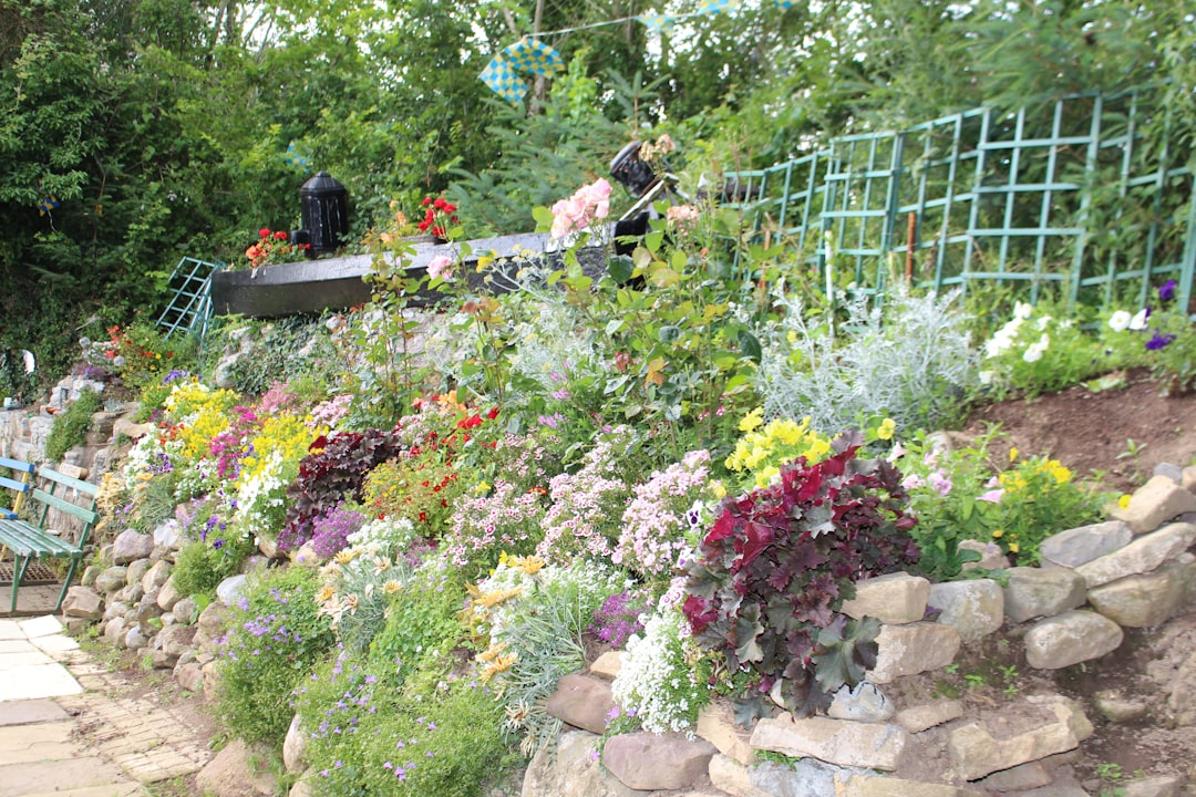 Defend Your Fall Mums from Deer Intruders