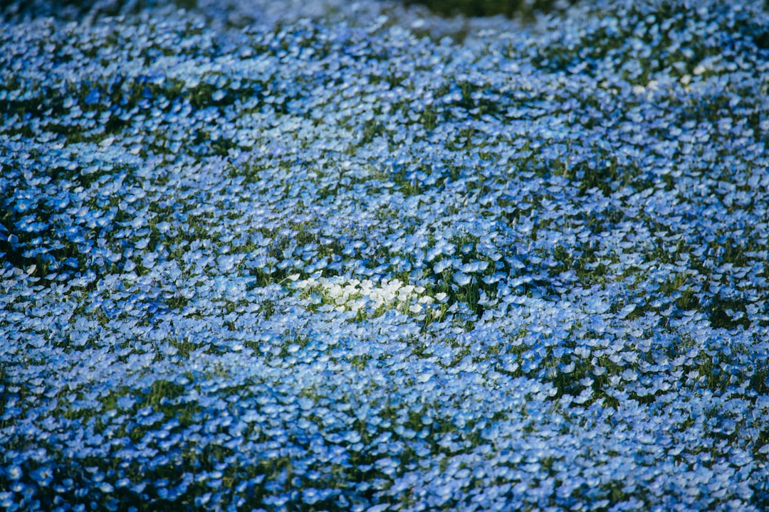 Unveiling the Secrets of Thyme Growth