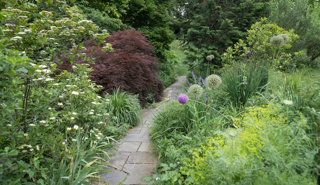 The Secret Weapon for a Weed - Free Garden