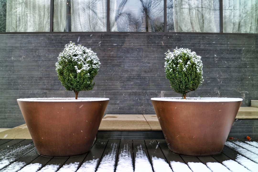Winter's Garden No-No's