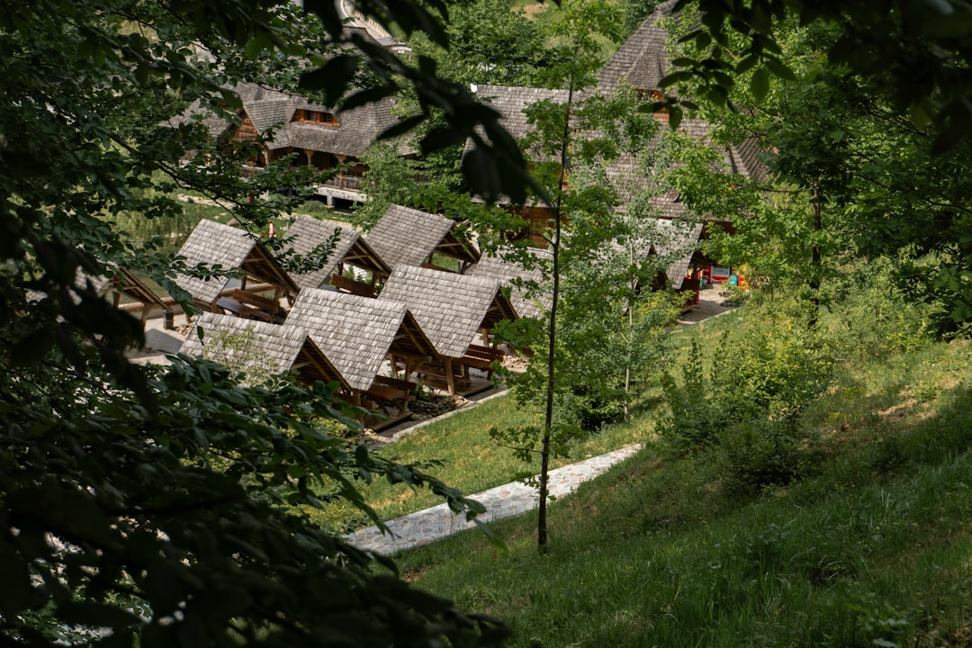 Navigating the Challenges of Gardening Commitment