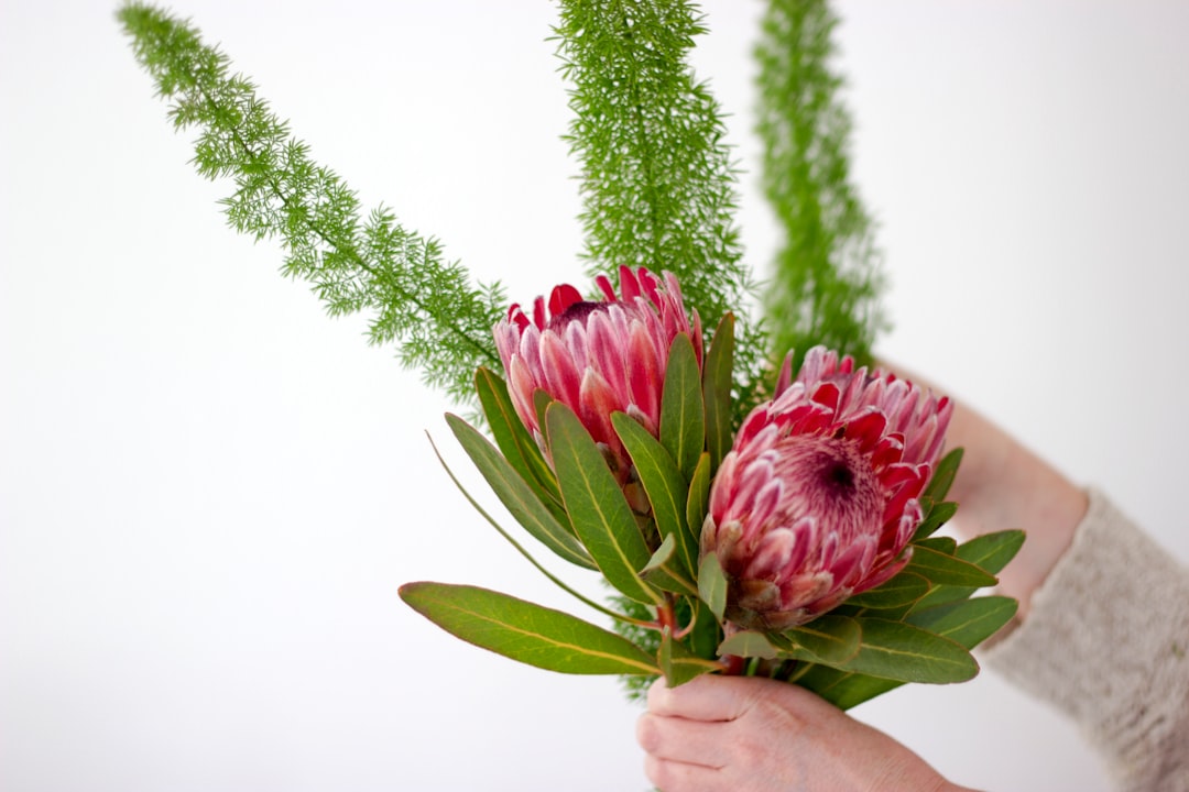 Reviving Your Wilting Peace Lily: A Gardener's Guide