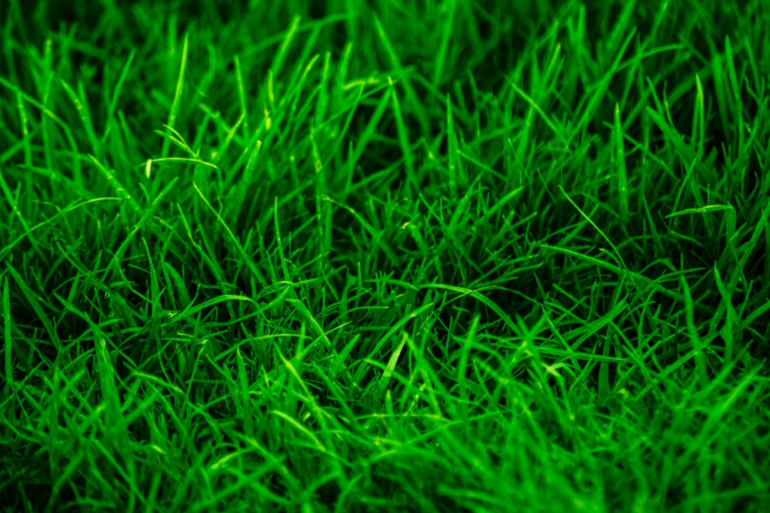 Thriving Vegetables in Alkaline Soil