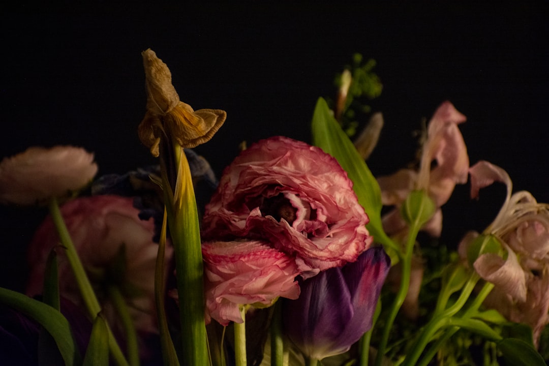 The Perennial Magic of Mint in Your Edible Garden