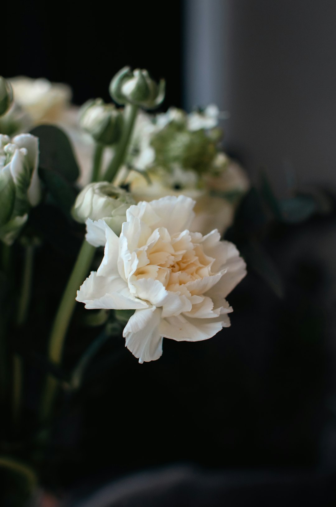 The Art of Winter Pruning for Your Yard