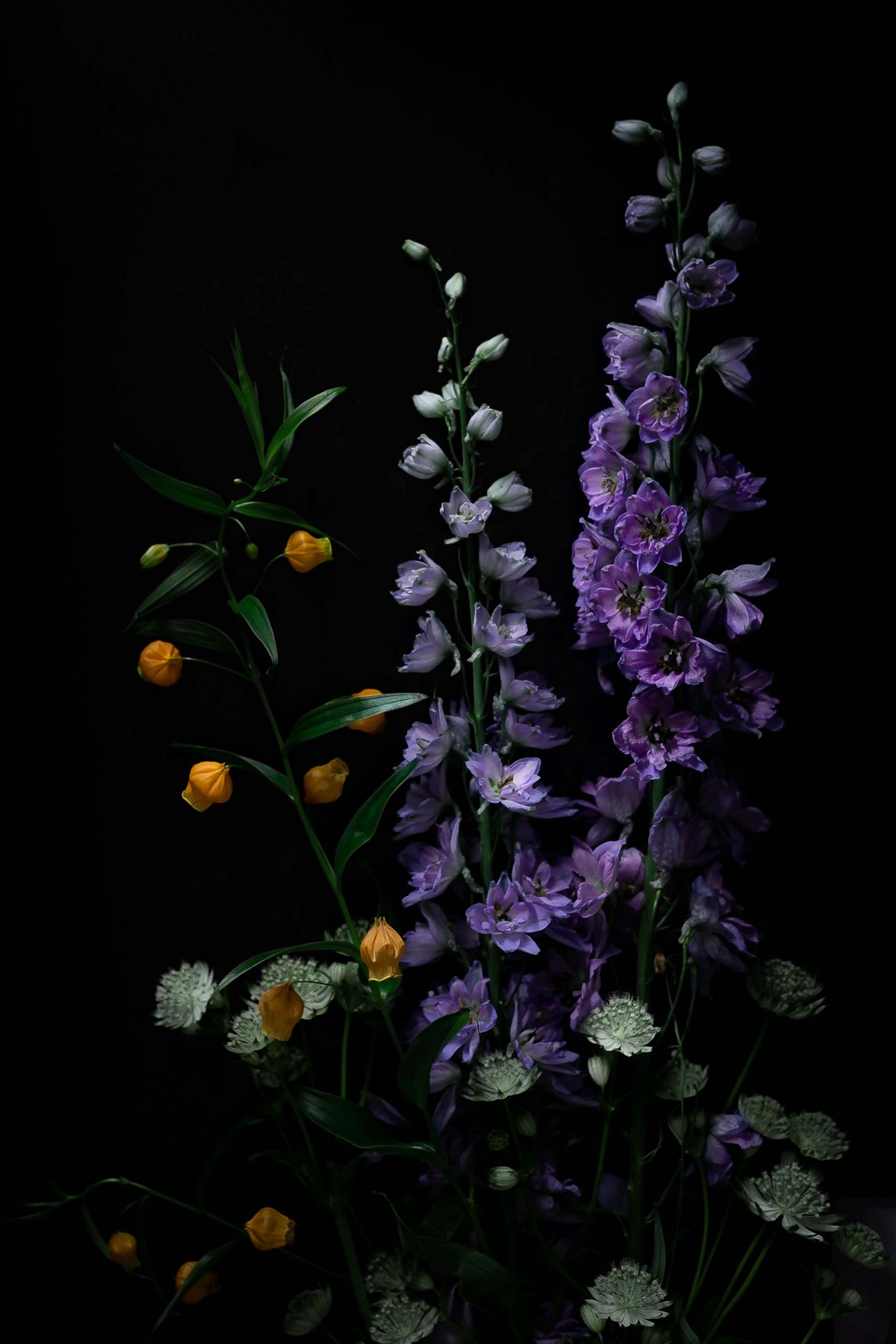 The Hidden Dangers in Your Garden and How to Dodge Them