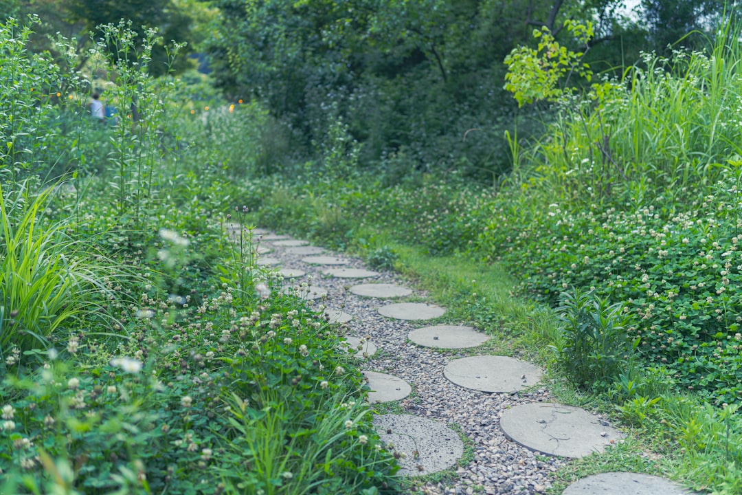 Unveiling the Secrets of Growing a Popular Spice: Indoors and Out