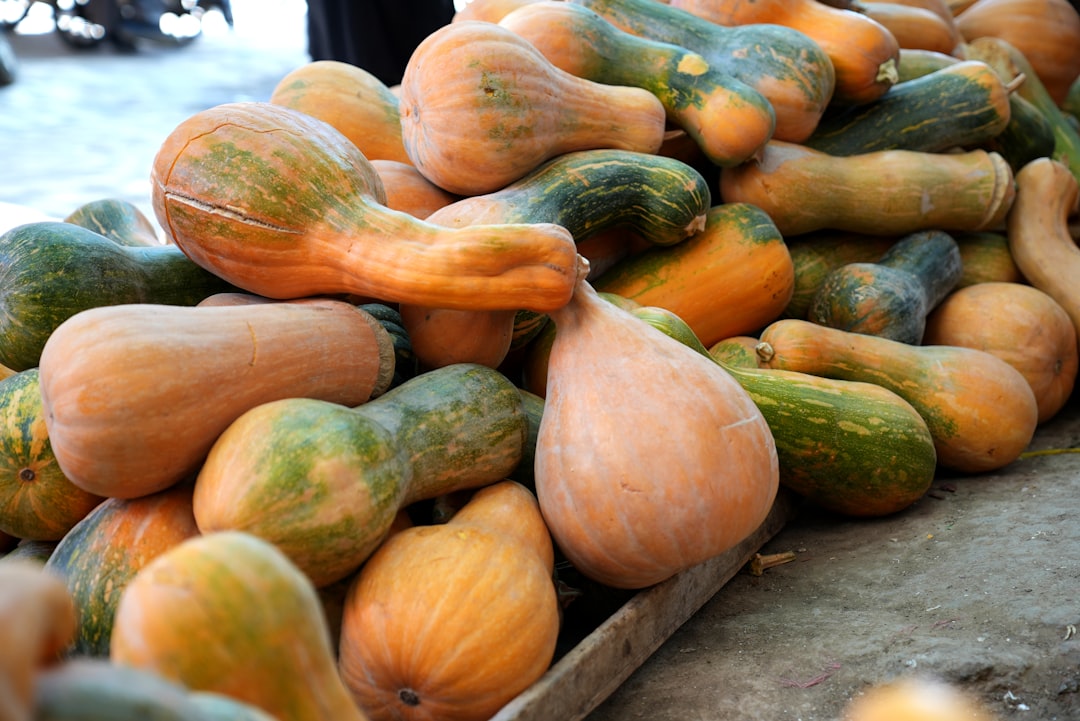 The Secret Weapon for a Thriving Garden: 10 - 10 - 10 Fertilizer