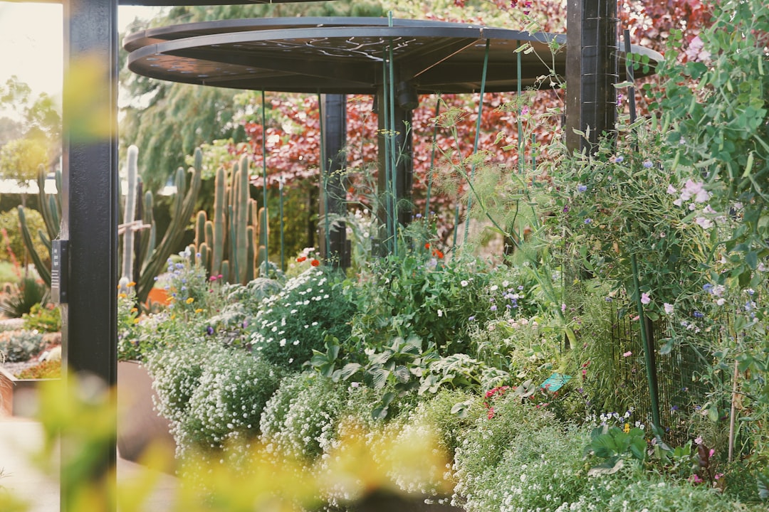 Unveiling the Wonders of Trough Gardens: Ideal Drought - Tolerant Selections