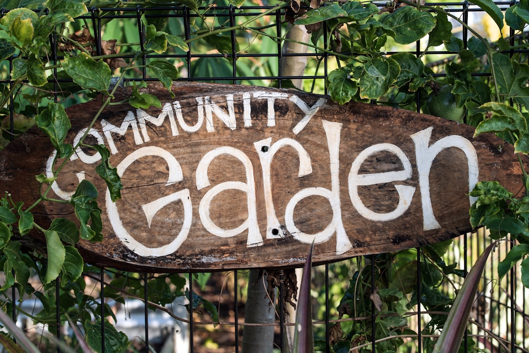 The Wisdom Hidden in Gardening