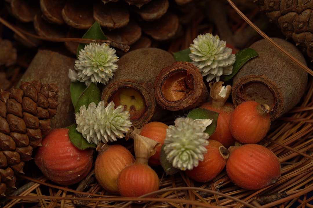 The Tiny Powerhouses of Your Garden: Cucamelons