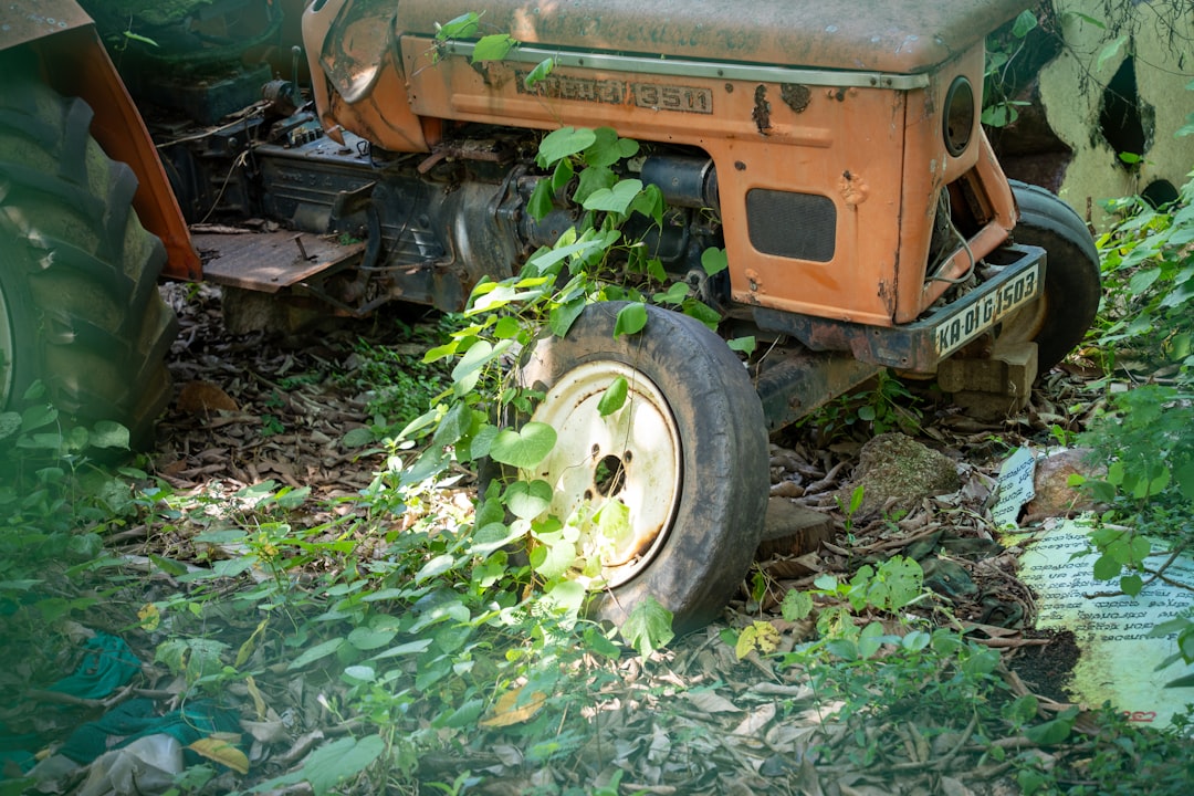 The Secret of Bunny - Resistant Plants in Your Garden