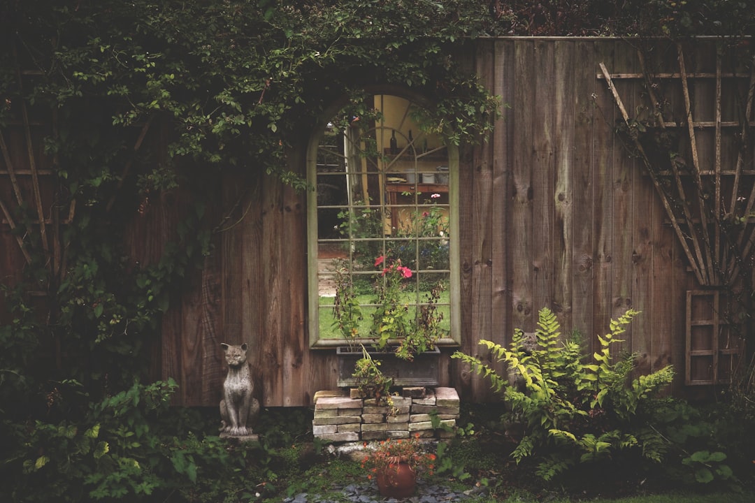 Unveiling the Beauty of Wintergreen: A Shade - Loving Groundcover