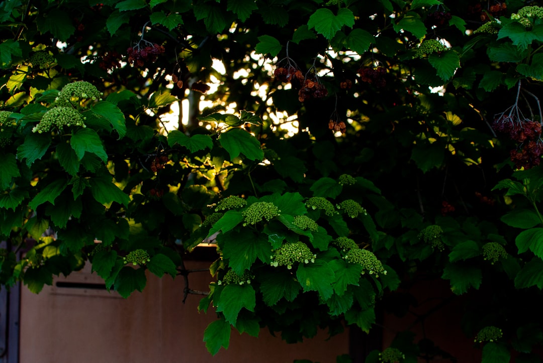 Unveiling the Secrets of Effortless Aquatic Plant Care in Your Landscape