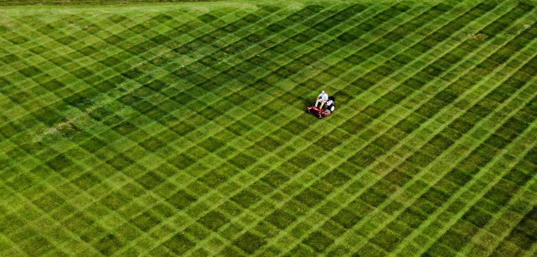 Reviving Your Lawn: A Comprehensive Guide to Banishing Brown Spots