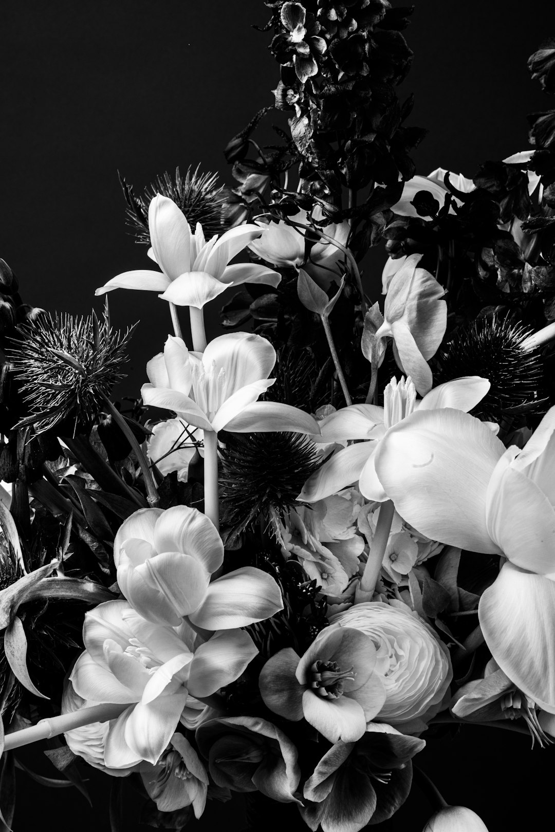 Secrets to Thriving Houseplants in Dry Air