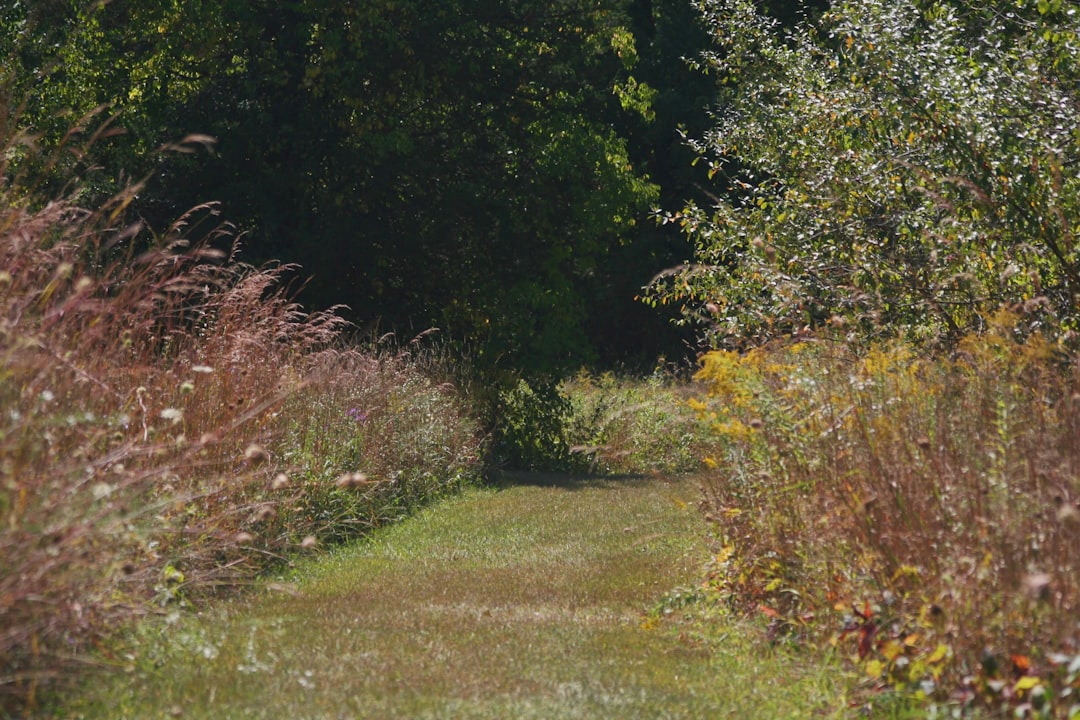 The Secret to a Year - Round Colorful Garden
