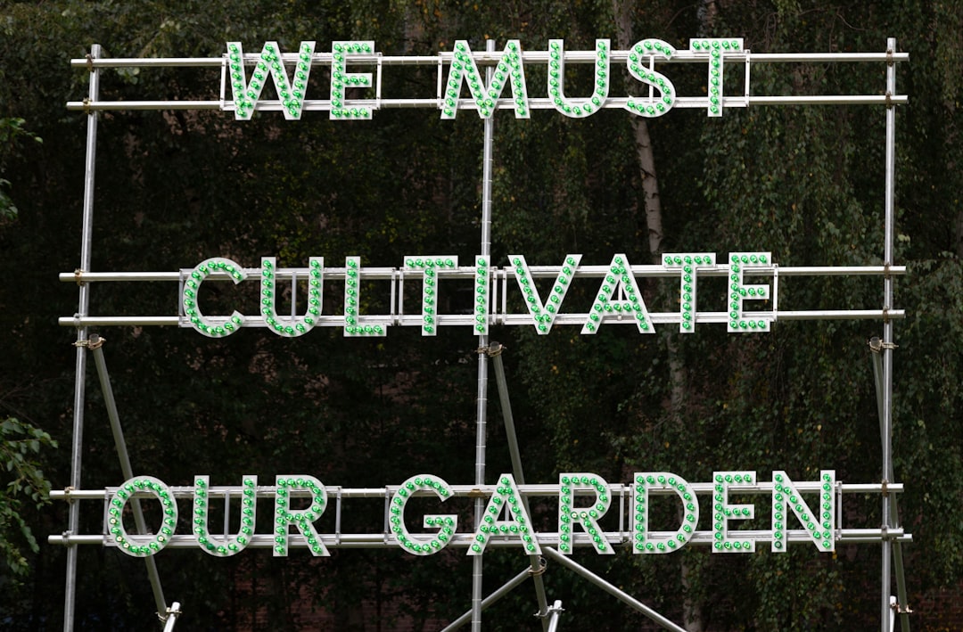 Unleash the Magic of Container Gardening: Simple Tips Revealed