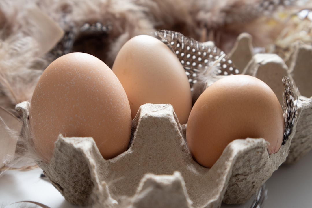 The Truth Behind Bird Flu and Your Eggs