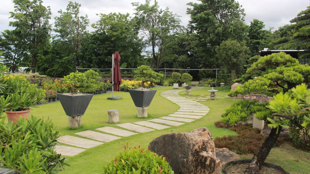 The Wonders of Evergreen Groundcover in Your Garden