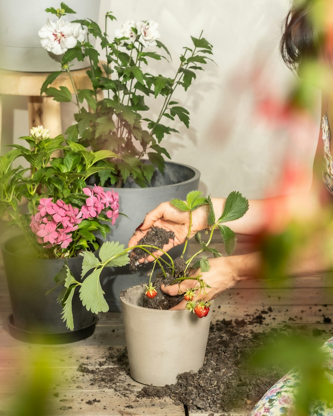 Nurturing Young Green Thumbs: A Kid-Friendly Veggie Garden Blueprint